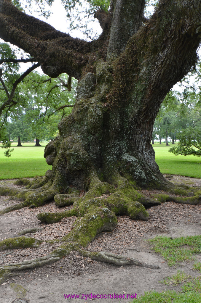 041: Oak Alley Plantation, 