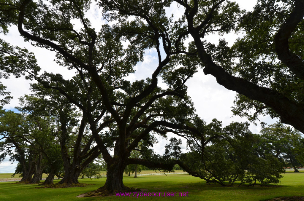 047: Oak Alley Plantation, 