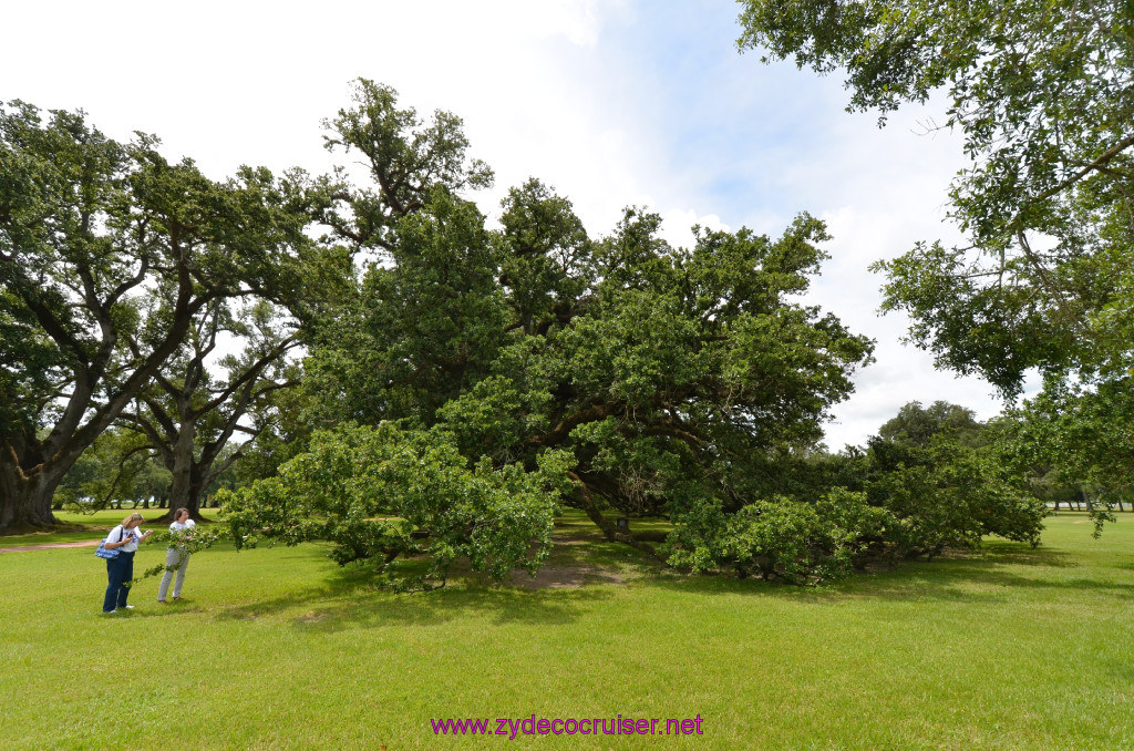 051: Oak Alley Plantation, 