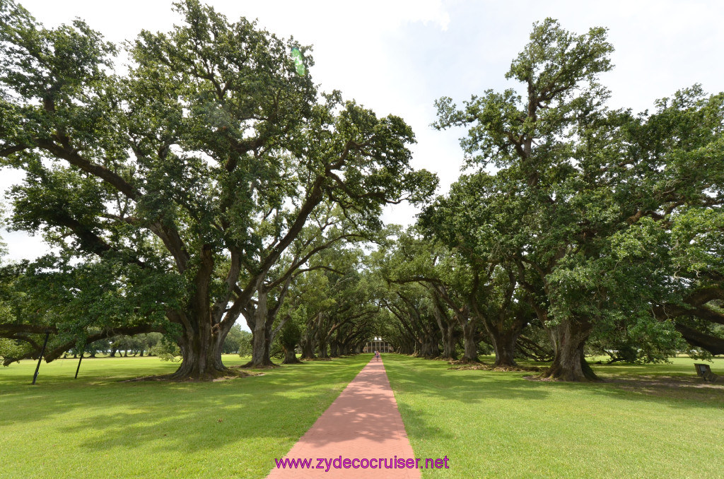 052: Oak Alley Plantation, 