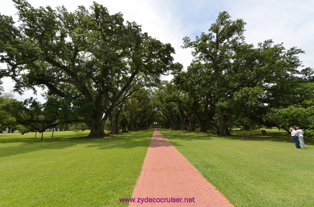 053: Oak Alley Plantation, 