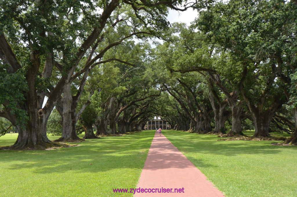 054: Oak Alley Plantation, 