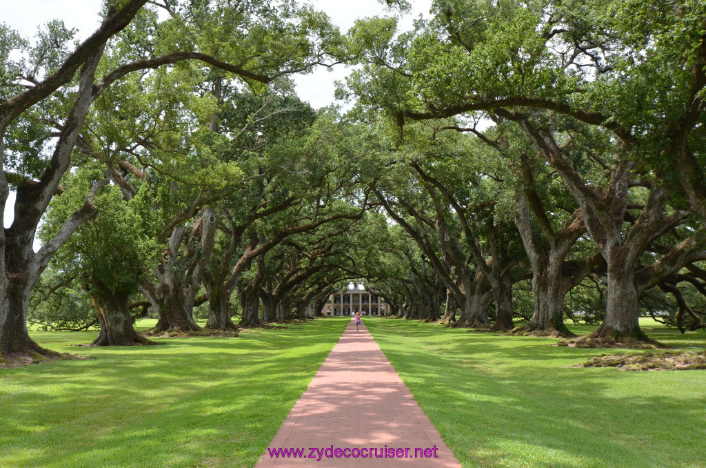 055: Oak Alley Plantation, 