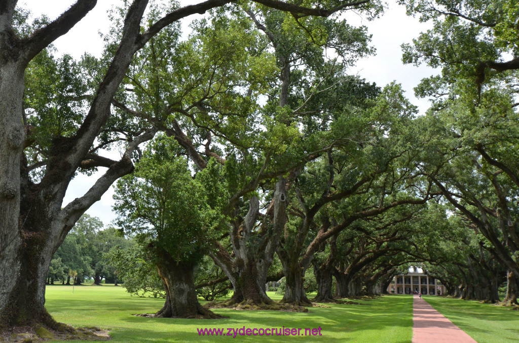 058: Oak Alley Plantation, 