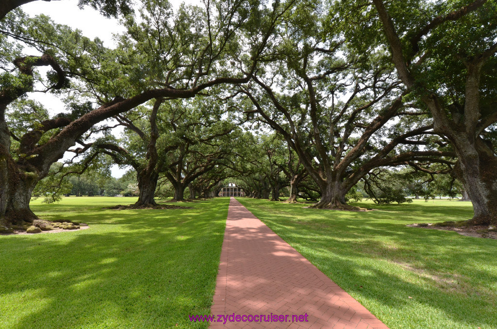 061: Oak Alley Plantation, 