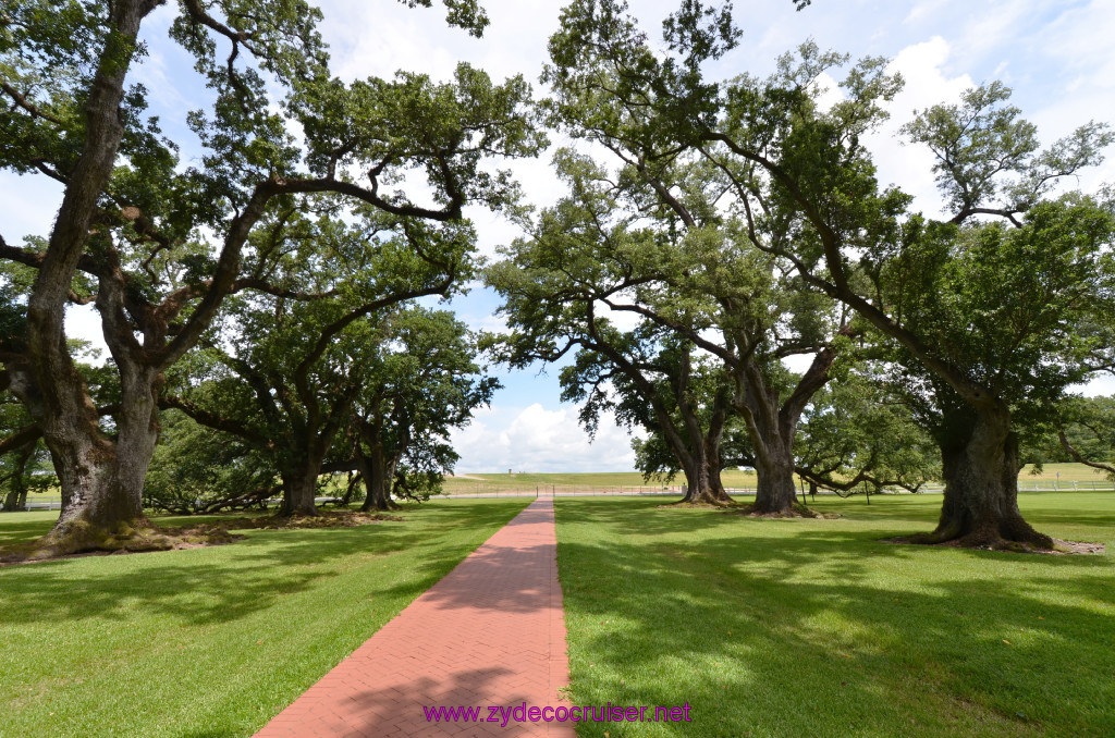 062: Oak Alley Plantation, 