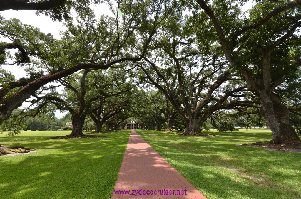 064: Oak Alley Plantation, 