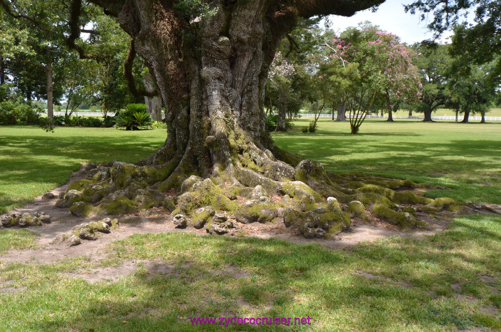 067: Oak Alley Plantation, 