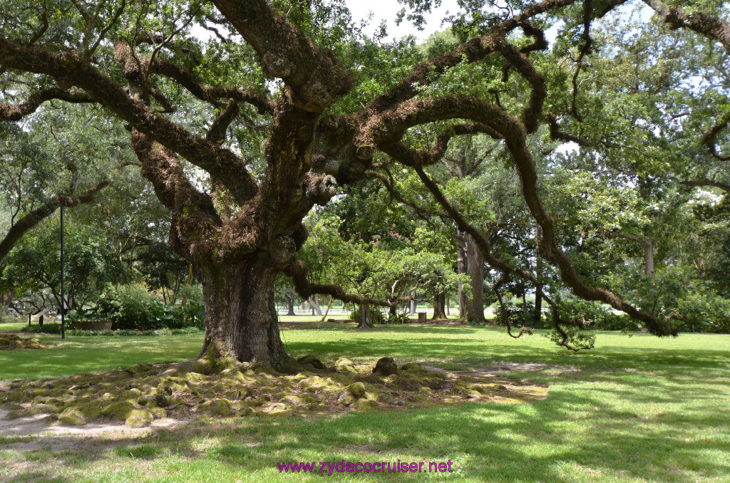 068: Oak Alley Plantation, 