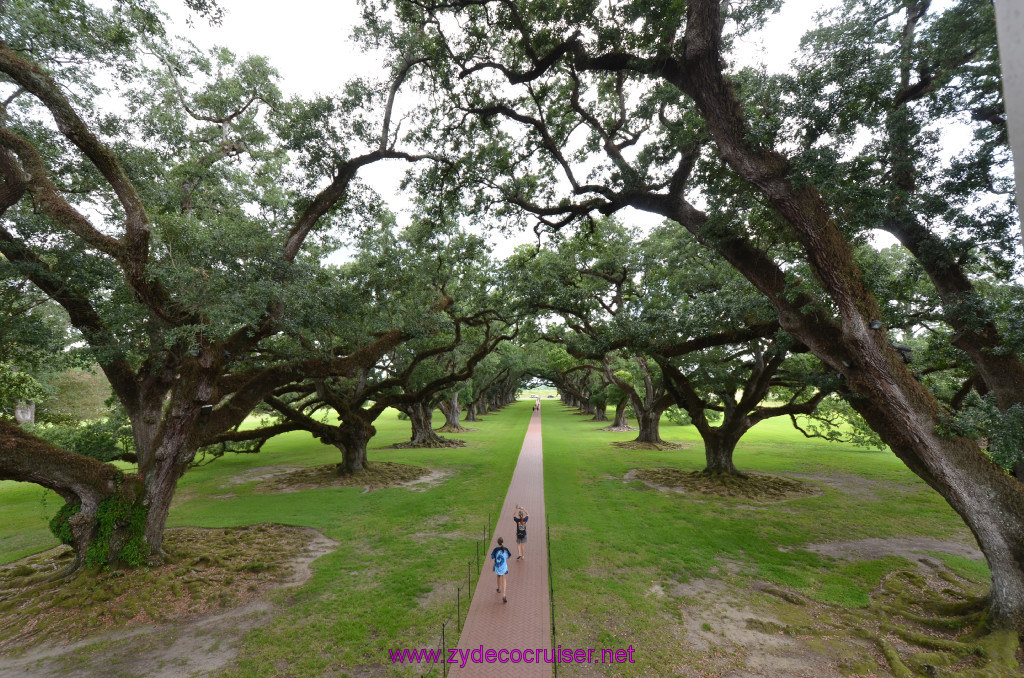 137: Oak Alley Plantation, 