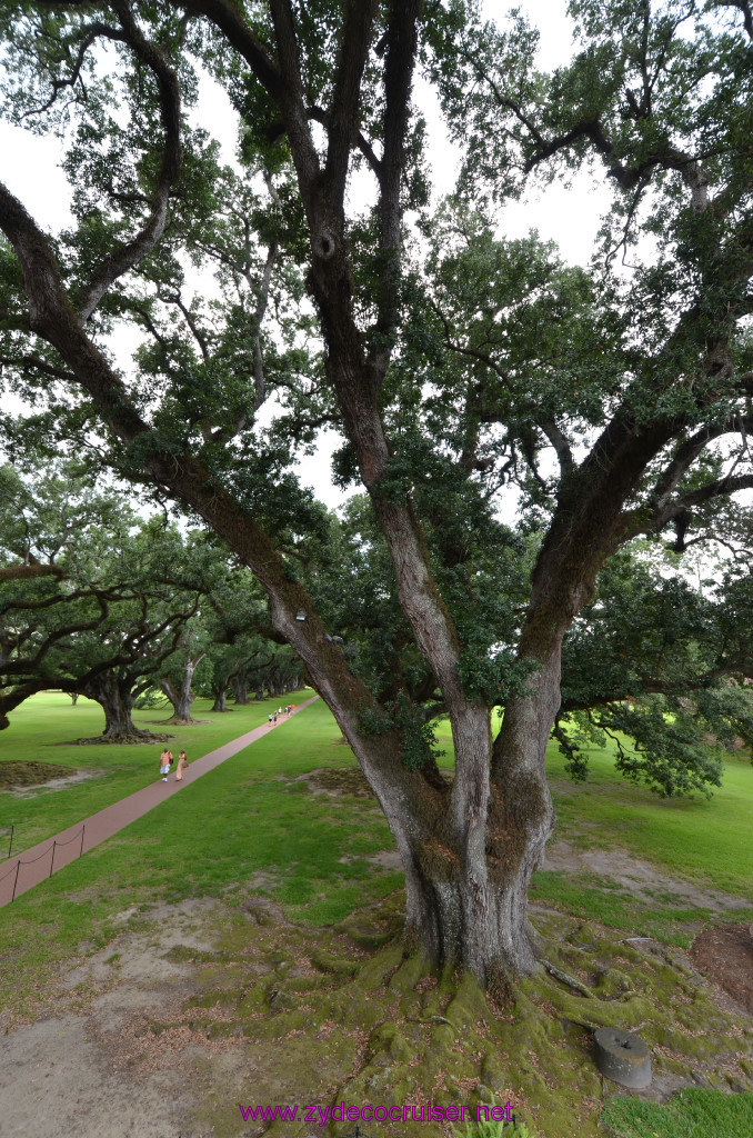 146: Oak Alley Plantation, 