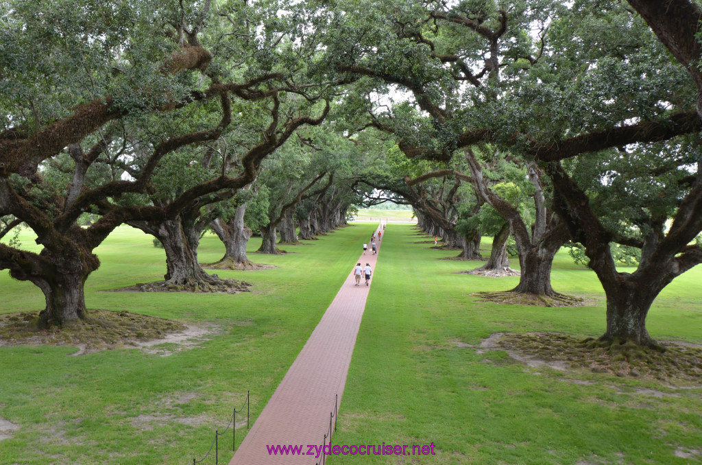 147: Oak Alley Plantation, 