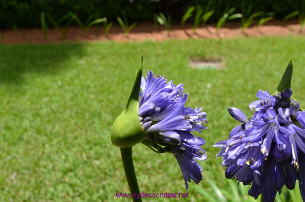 179: Oak Alley Plantation, 