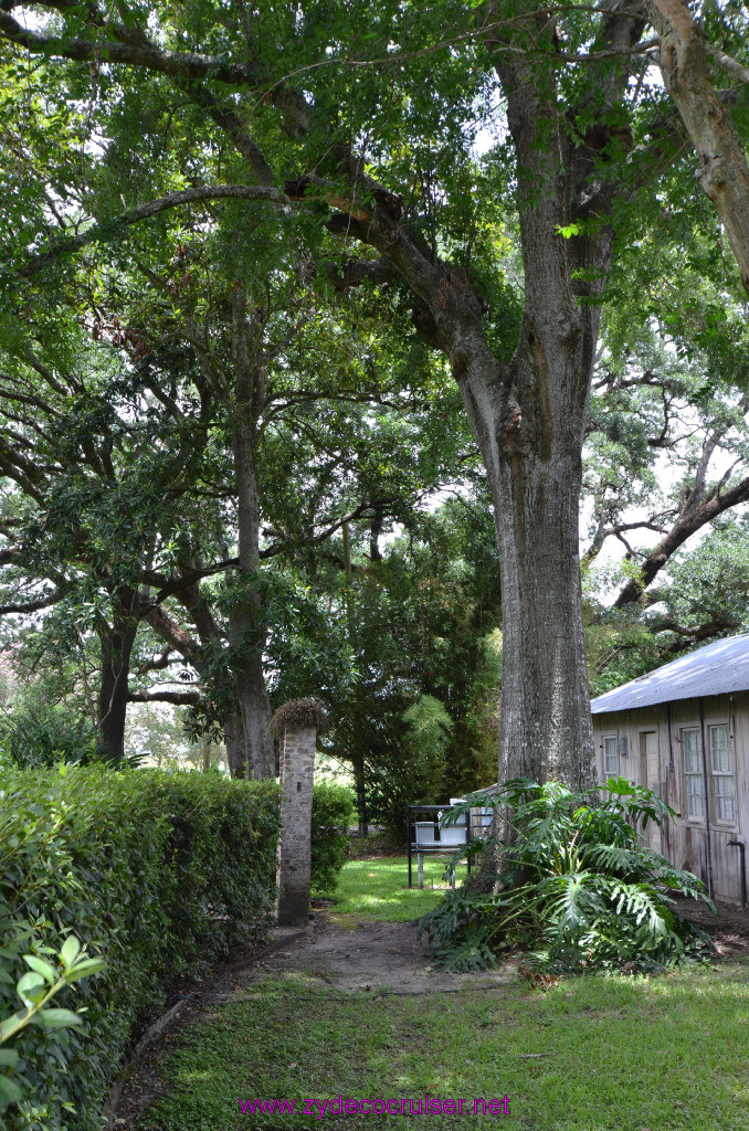 182: Oak Alley Plantation, 