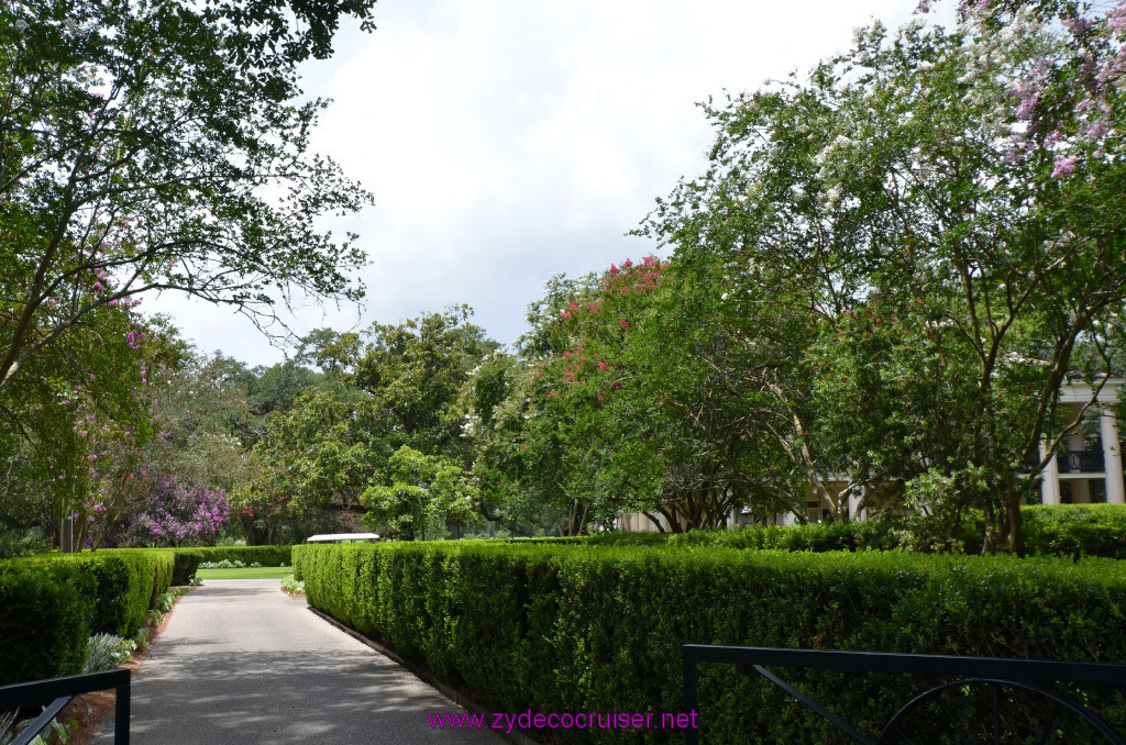 195: Oak Alley Plantation, 