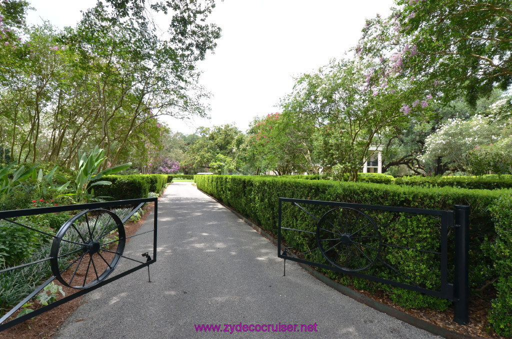 196: Oak Alley Plantation, 