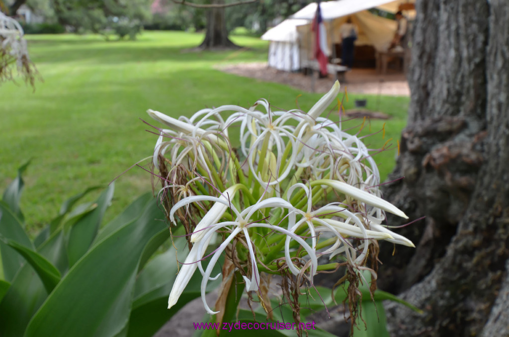 200: Oak Alley Plantation, 