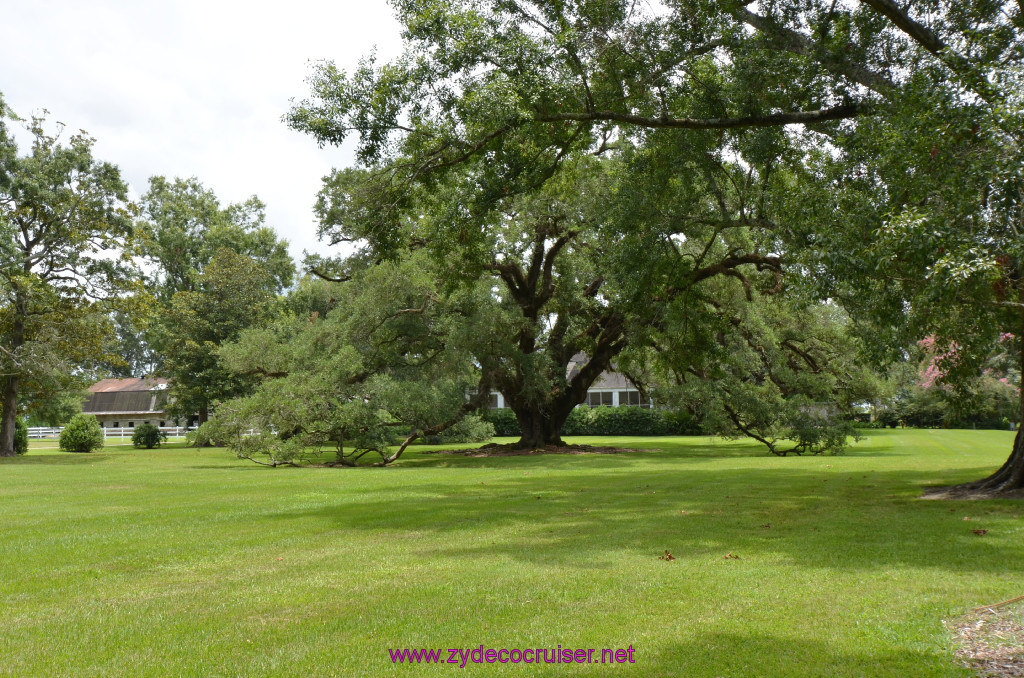 217: Oak Alley Plantation, 