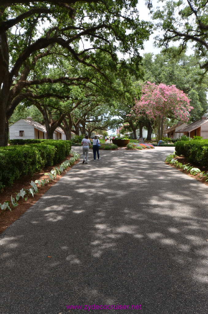 233: Oak Alley Plantation, 