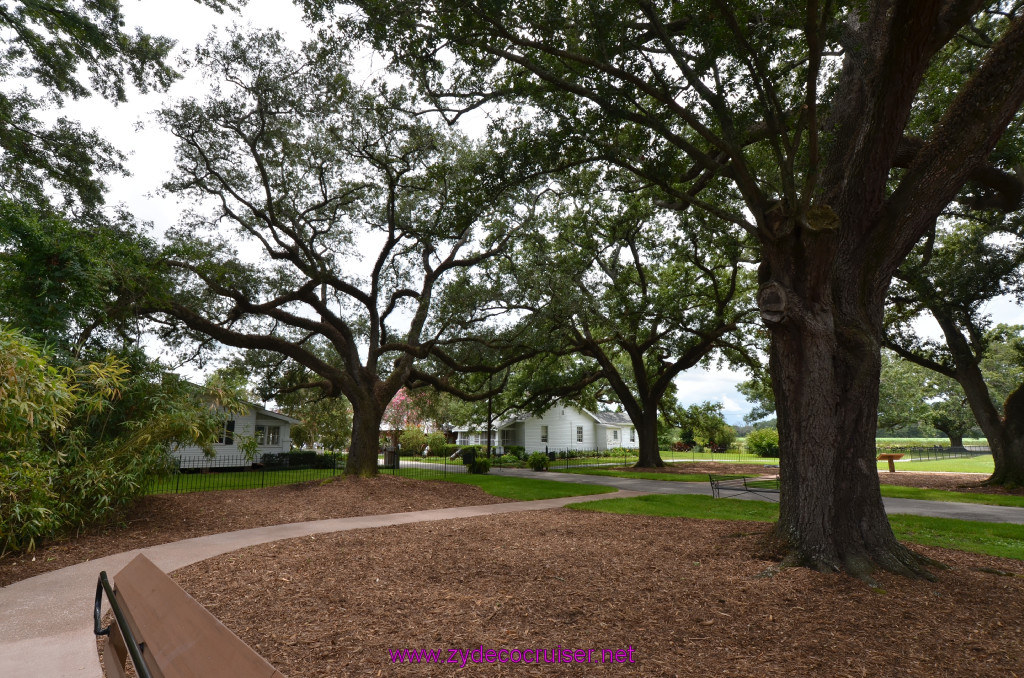 241: Oak Alley Plantation, 