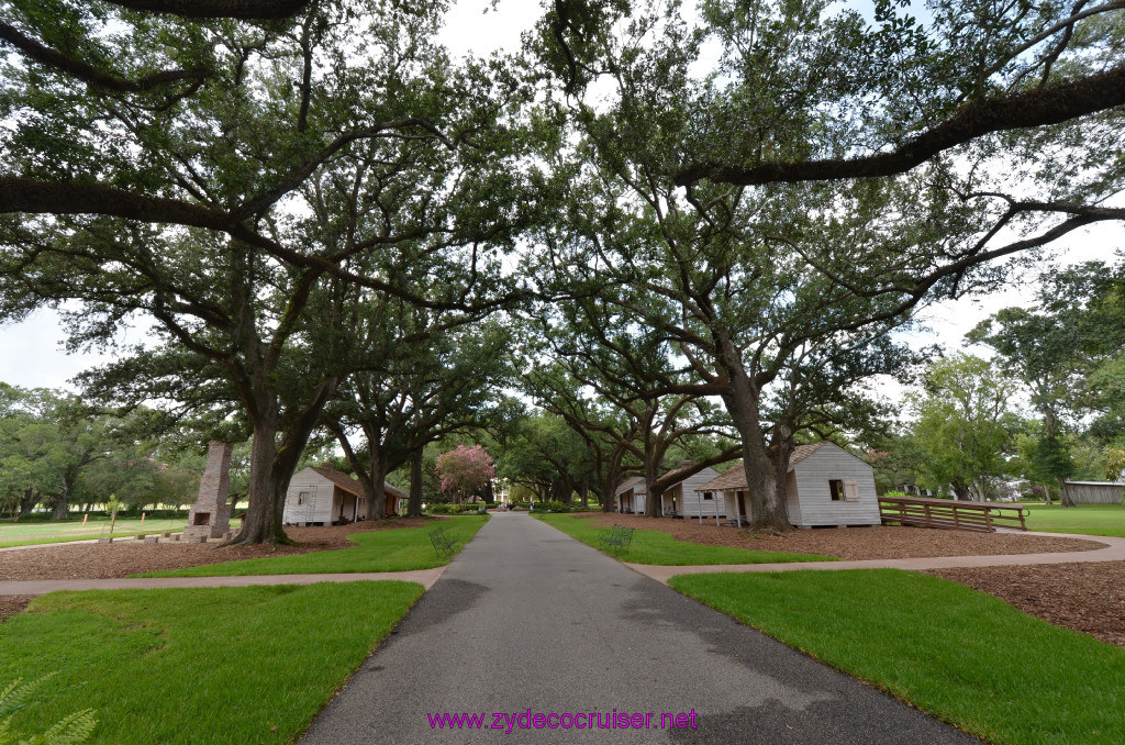 242: Oak Alley Plantation, 