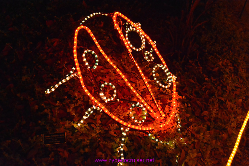 129: Celebration in the Oaks, New Orleans, Dec 2013