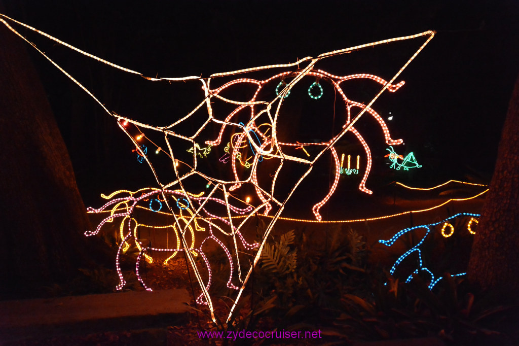 130: Celebration in the Oaks, New Orleans, Dec 2013