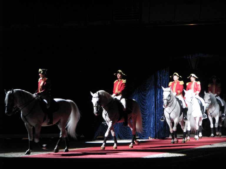 008: Lipizzaner Stallions, Mar 15, 2009