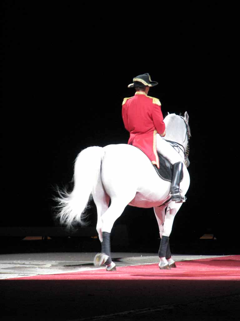 015: Lipizzaner Stallions, Mar 15, 2009