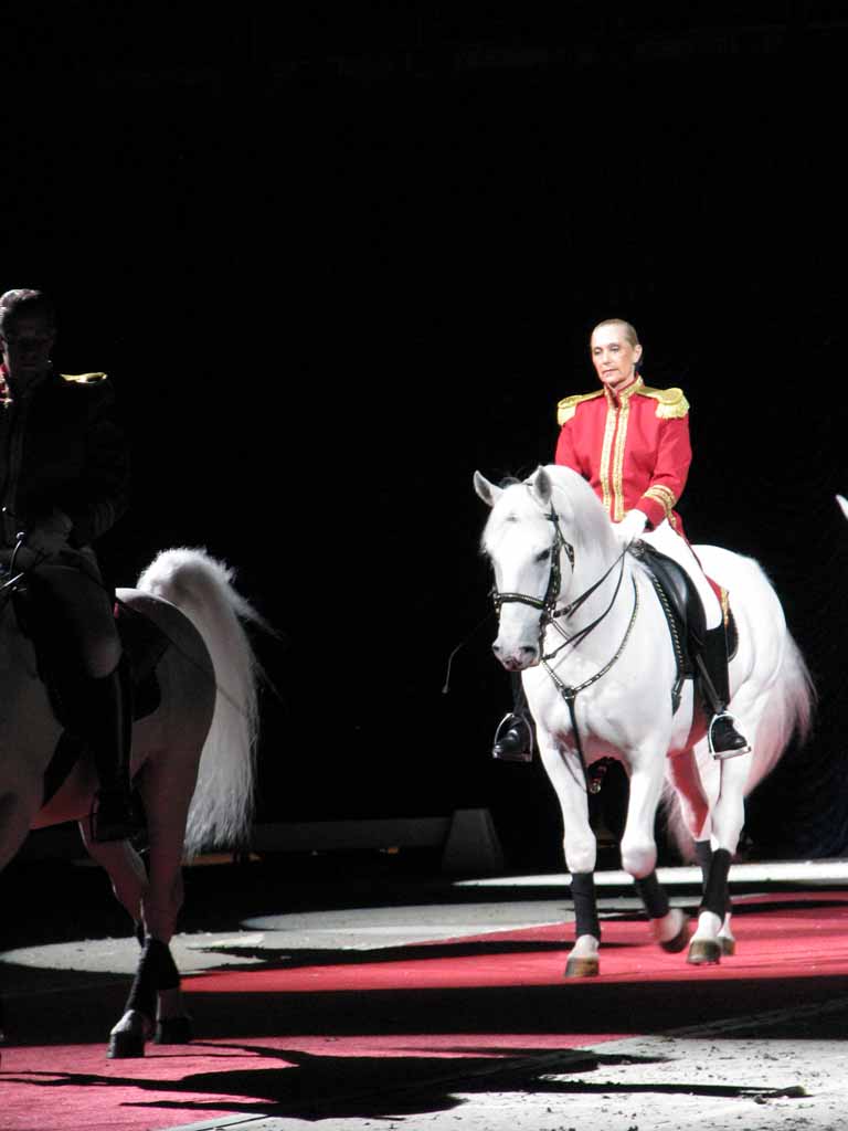 016: Lipizzaner Stallions, Mar 15, 2009