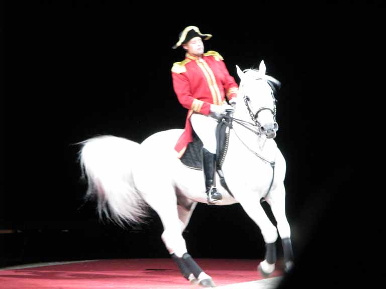 028: Lipizzaner Stallions, Mar 15, 2009