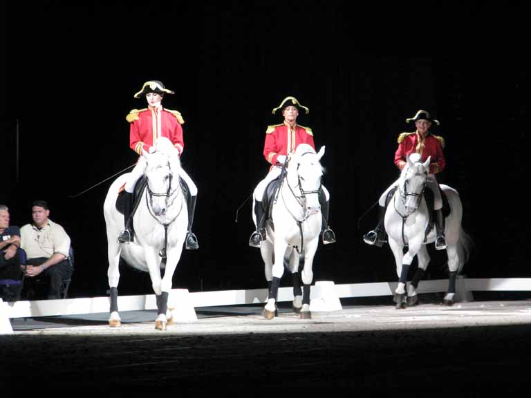 033: Lipizzaner Stallions, Mar 15, 2009