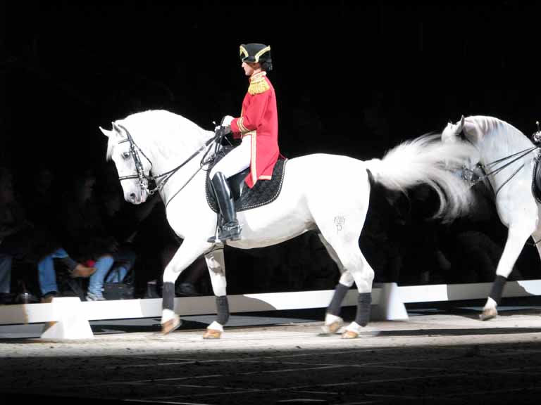 035: Lipizzaner Stallions, Mar 15, 2009