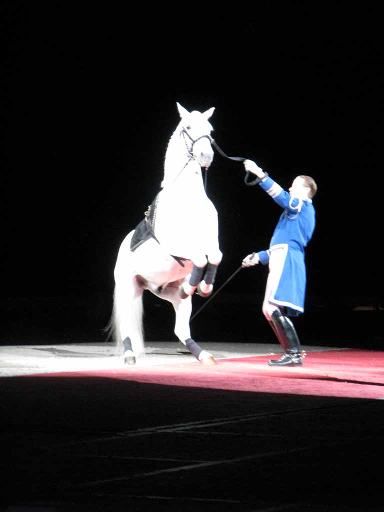 045: Lipizzaner Stallions, Mar 15, 2009