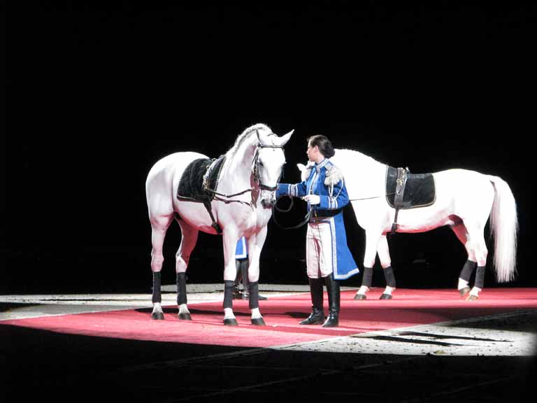 048: Lipizzaner Stallions, Mar 15, 2009