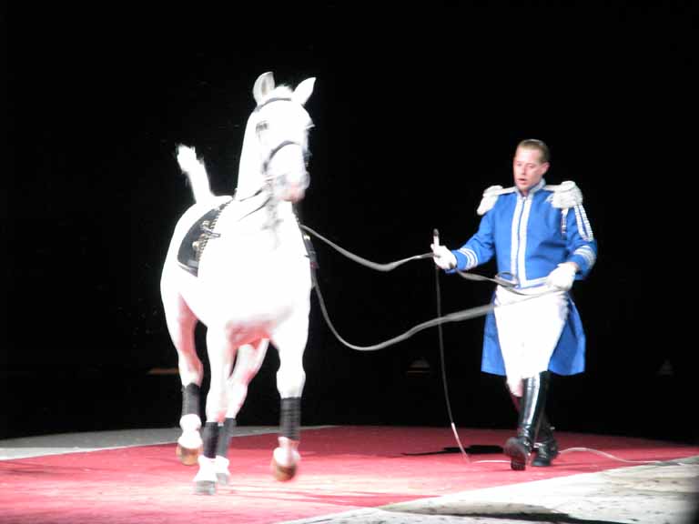 059: Lipizzaner Stallions, Mar 15, 2009