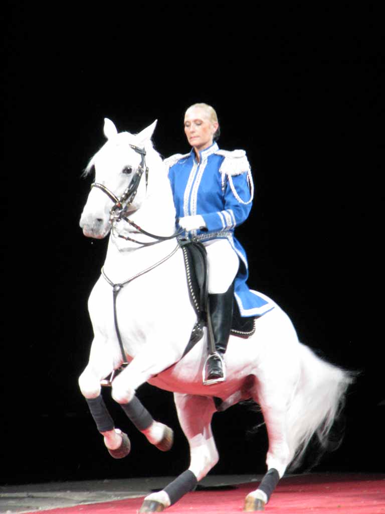 069: Lipizzaner Stallions, Mar 15, 2009