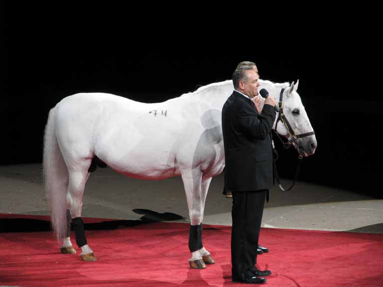 112: Lipizzaner Stallions, Mar 15, 2009