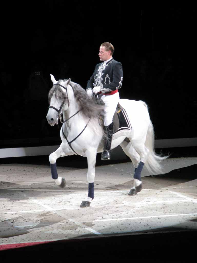 117: Lipizzaner Stallions, Mar 15, 2009