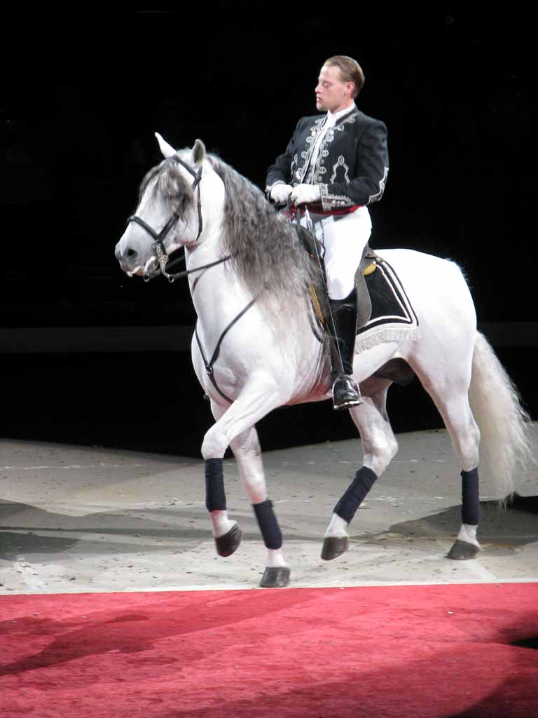 118: Lipizzaner Stallions, Mar 15, 2009