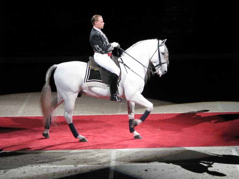 124: Lipizzaner Stallions, Mar 15, 2009