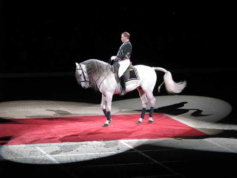 131: Lipizzaner Stallions, Mar 15, 2009