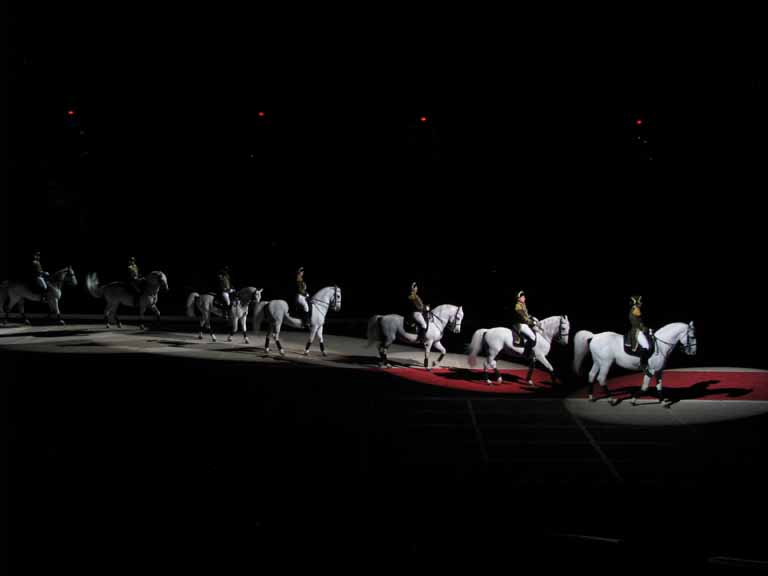 147: Lipizzaner Stallions, Mar 15, 2009