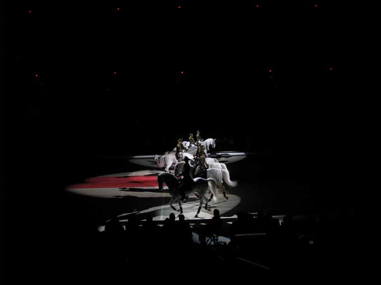 160: Lipizzaner Stallions, Mar 15, 2009