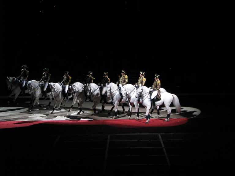 181: Lipizzaner Stallions, Mar 15, 2009