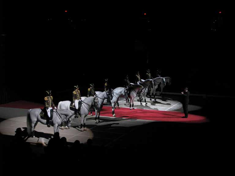 186: Lipizzaner Stallions, Mar 15, 2009