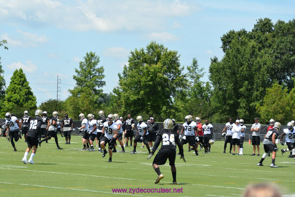 019: New Orleans Saints Mini-Camp, Kenner, June 2014, 