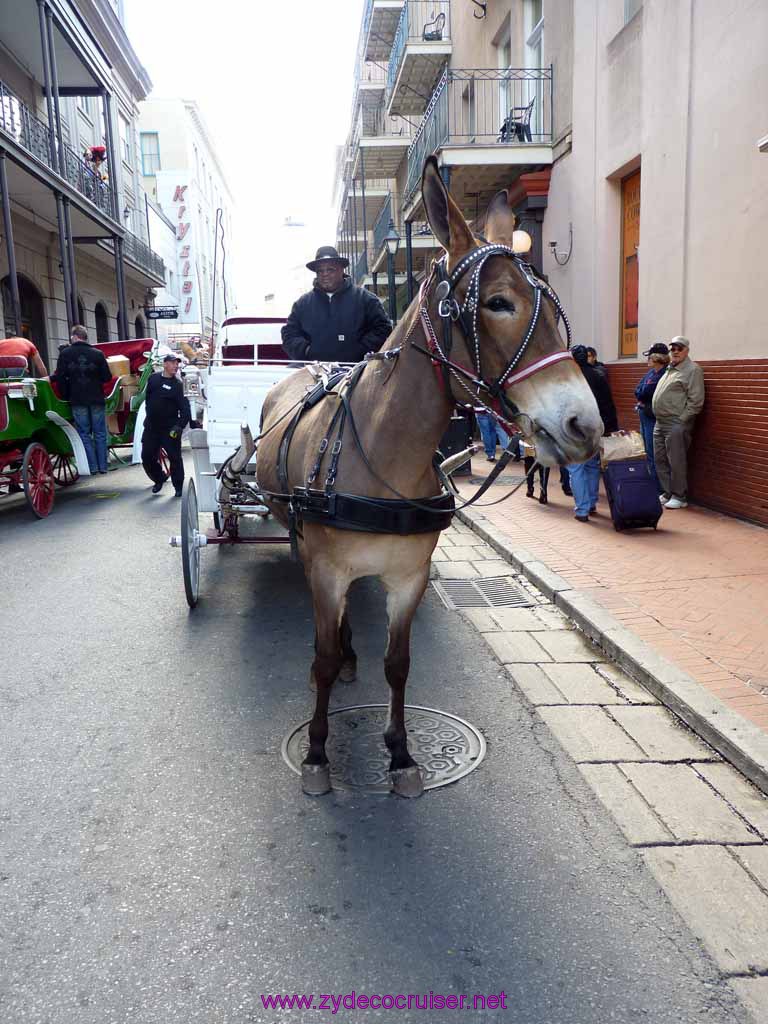 118: They must be lining up for Shangri-La parade in the French Quarter