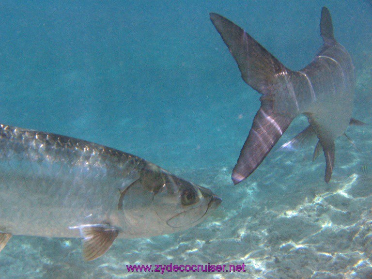 Carnival Valor, Grand Cayman, 